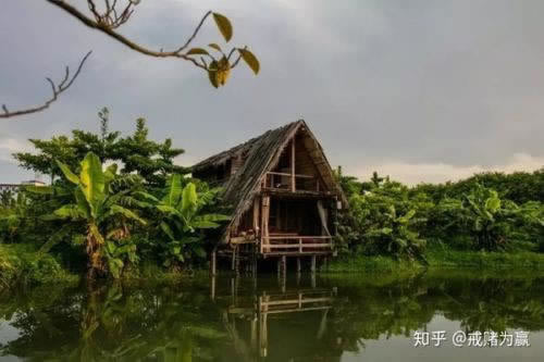 有谁可以解决注但出现异常一直提款失败.内容导语（图）