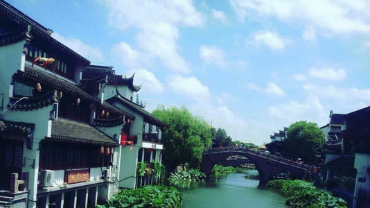 被黑提现一直在审核.文章慨括(图)