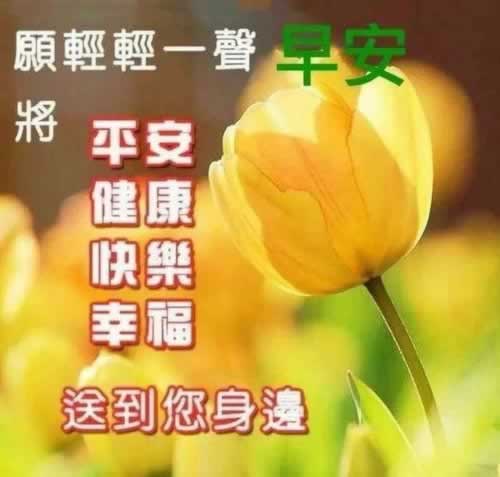 网络平台藏分出的成功率高吗.文章概览（图）