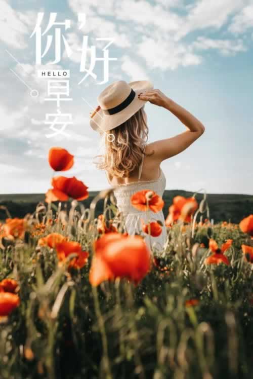 碰到黑网出款通道维护升级中.文章导言(图)