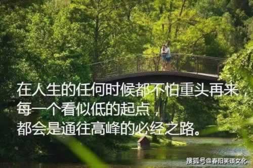 黑网被黑提取失败提示财务清算.小序(图)