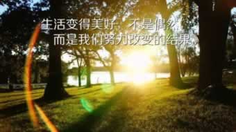 华宝创富是怎么样的平台.概括(图)