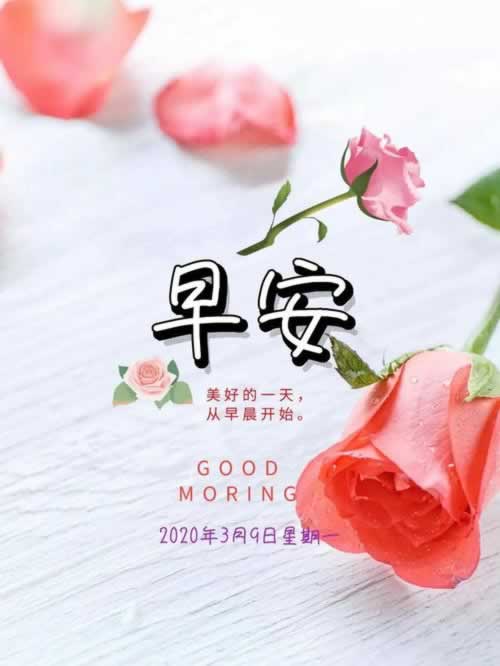 被黑了维护审核怎么办要怎么解决(图)