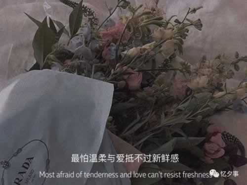 被黑能怎么办钱怎么办 增长策略(图)