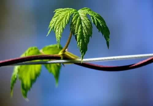 网上平台出款通道维护迟迟不给我出款.概括(图)