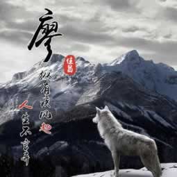 碰到黑网提取失败通道维护 最新指南(图)
