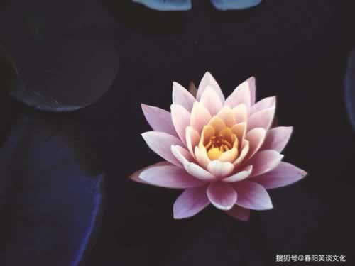 碰到被黑风控审核不给提款有什么方法出款吗 平台新策(图)