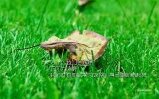 在平台上取款通道维护后终于取款了.引文(图)