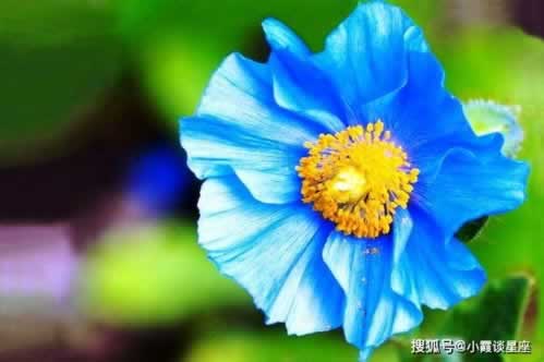 碰到客服说财务清算提现失败大家怎么避免(图)