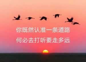 在黑平台第三方未支付提不了款.内容狮评(图)