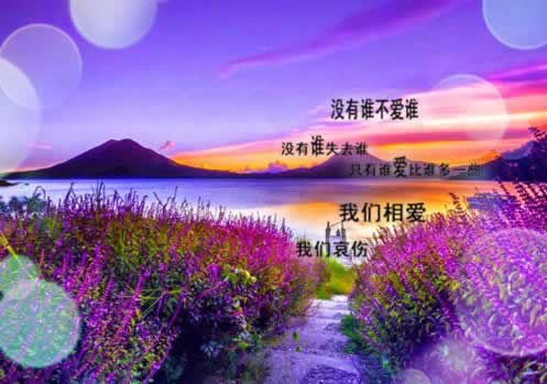 在网上的平台藏分移分出款方法.引文（图）