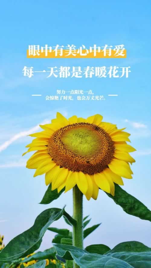 专业处理第三方未支付不给提款.侧重点(图)
