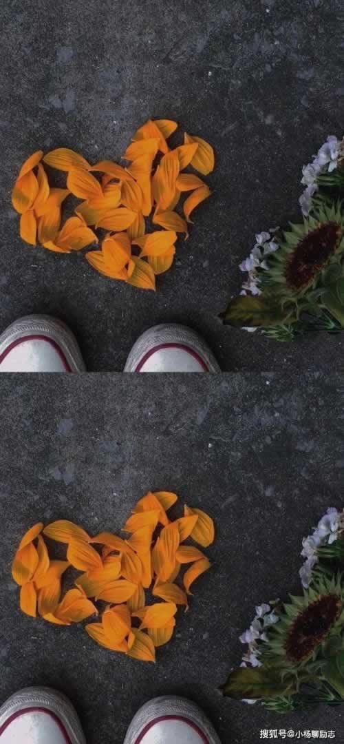 网上被黑一直不给审核通过不给出款 解决办法（图）