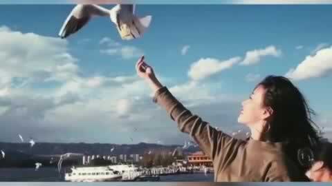 遇到被黑我涉嫌套利不给提款.内容慨述(图)