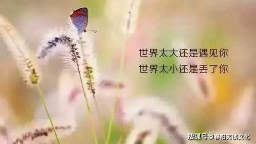 网上赢了不给出款怎么解决最好的出黑大师 操作策略（图）