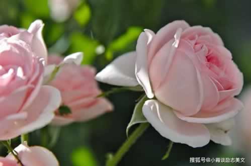 黑平台客服一直不通知提款大家怎么解决（图）