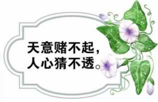 网上游戏被黑后还 清晰思路(图)