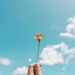在网上黑平台账户异常不给提款 竞争策略(图)