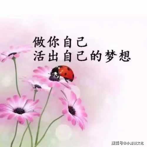 平台突然不能提现说国际线路波动.小序(图)