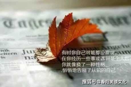 王头被坑3天不到账.内容核心(图)