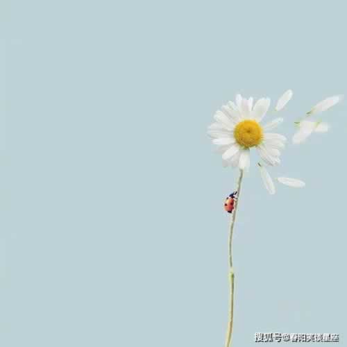 在365多次提现被拒说财务清算繁忙.内容导语(图)