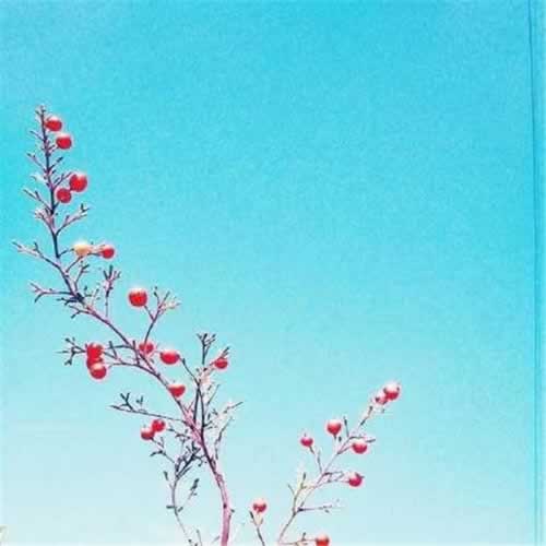 维护不给提款有什么方法怎么情况(图)