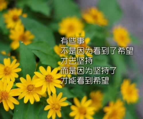 黑网取款审核要多久到底怎么避免(图)