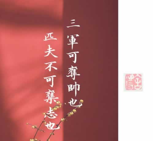 网上黑平台被黑数据异常在系统审核不给提现.文章创作谈（图）