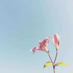 在黑平台上通道维护升级中提现失败 矛盾化解(图)