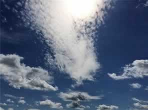 网上营前藏分出的成功率.引文(图)