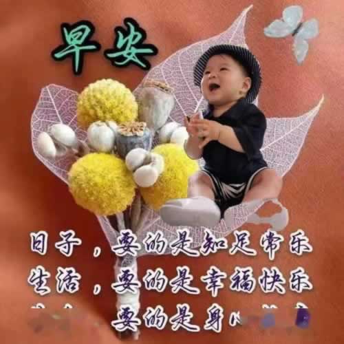 网上黑平台不给提款有成功提款的不.内容导语(图)