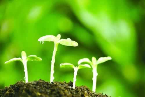 遇到显示通道升级维护.概述(图)
