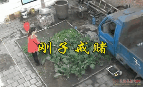 玩平台检测不让提 顶层思路(图)